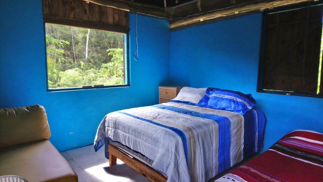 Jungle Oasis Tulum