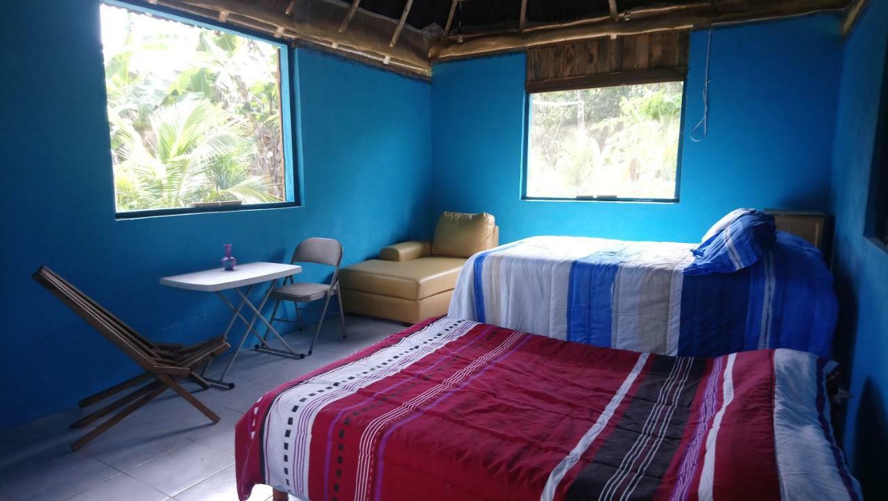 Jungle Oasis Tulum
