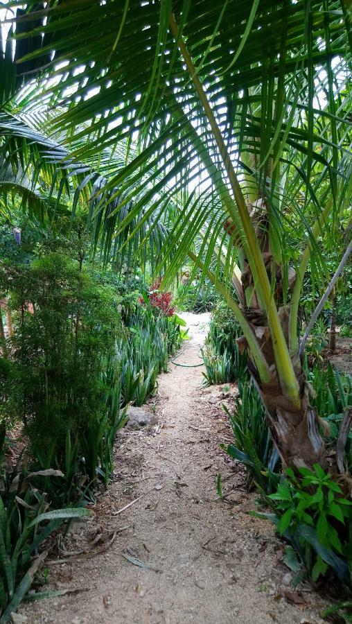 Сasa de vacaciones Jungle Oasis