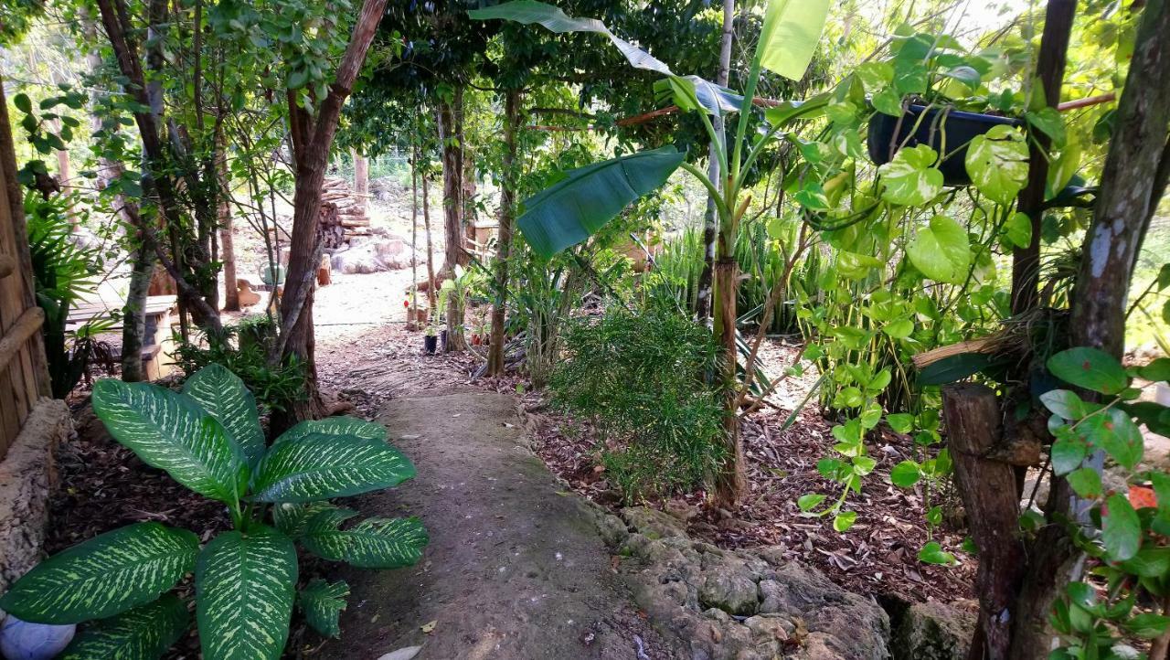 Сasa de vacaciones Jungle Oasis *