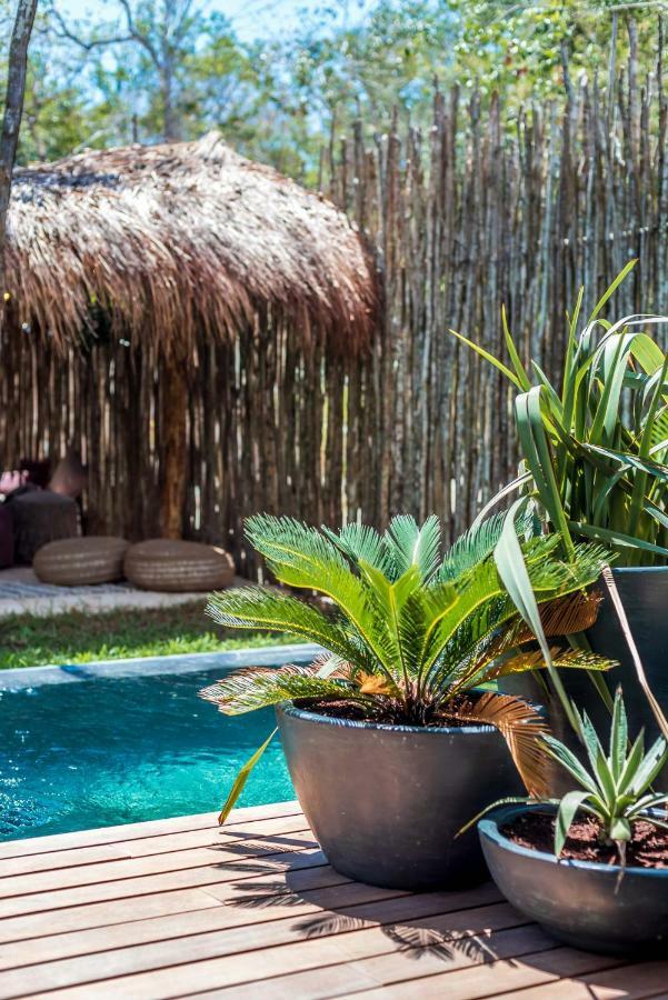 Sky Jungle 101 - Luum Zama Tulum