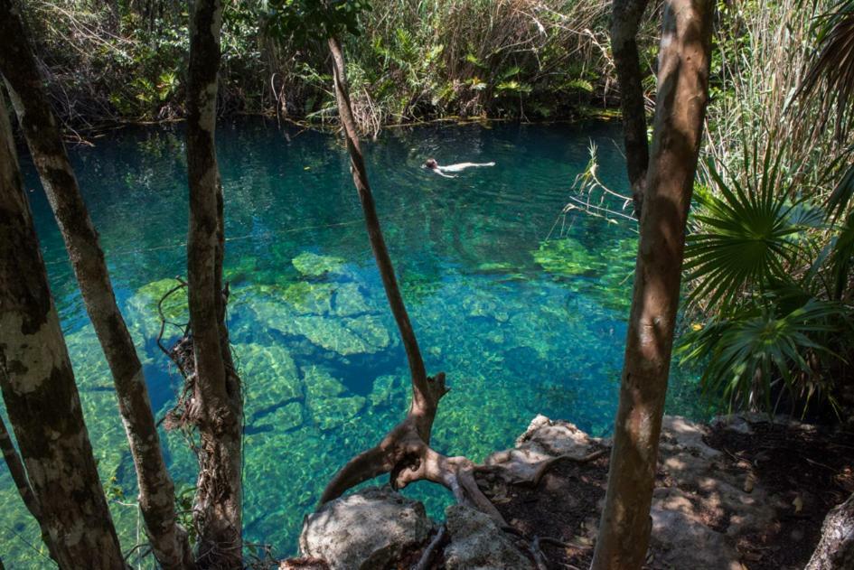 Agua De Selva Tulum