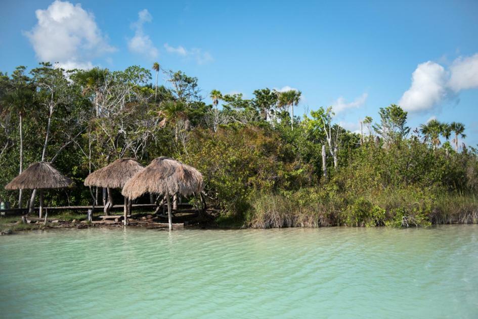 Agua De Selva Villa