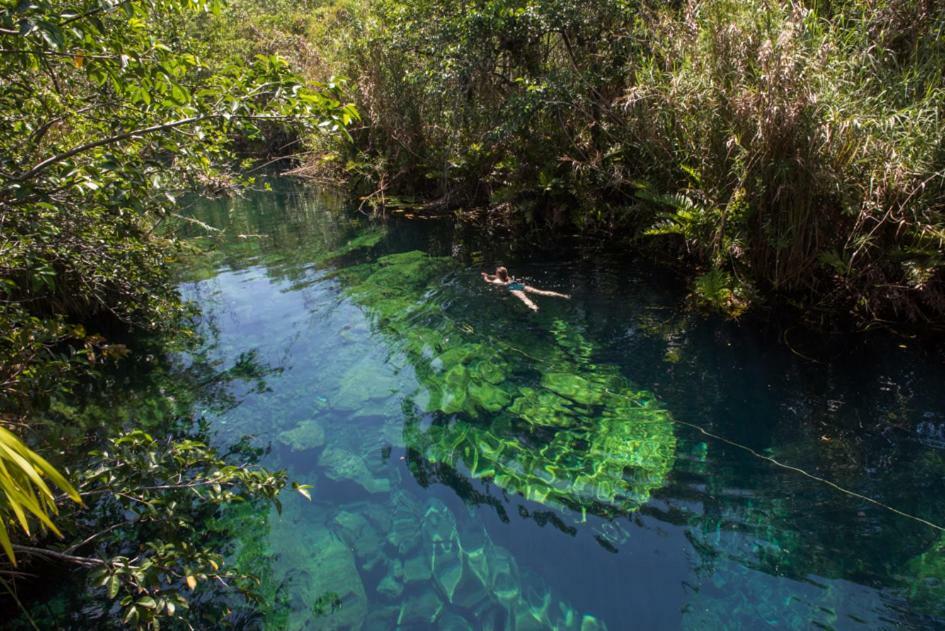 Villa Agua De Selva *