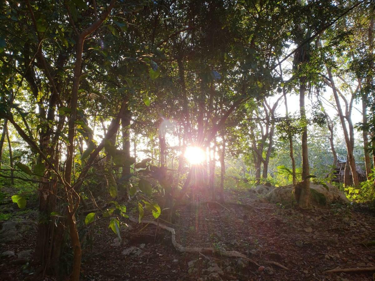 Apartamento Carretera - Coba Km10 Tulum