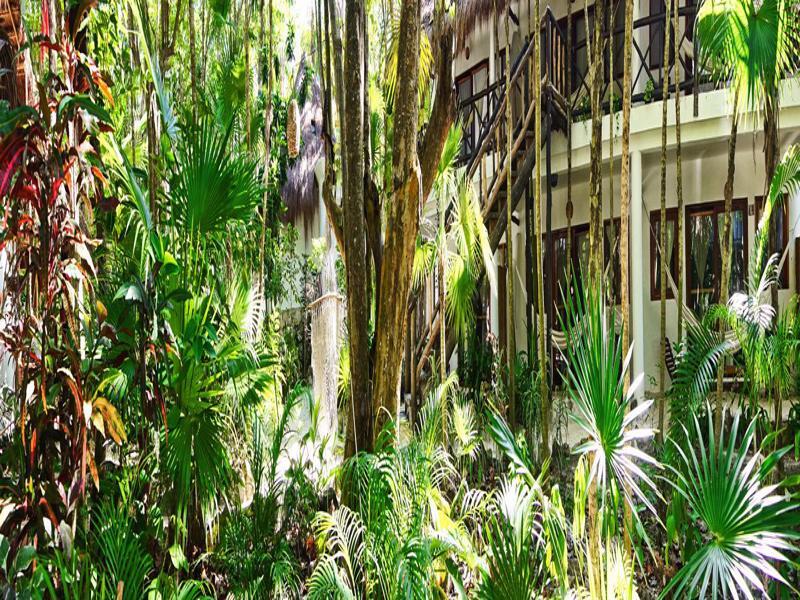 Ecologico Dos Ceibas Tulum