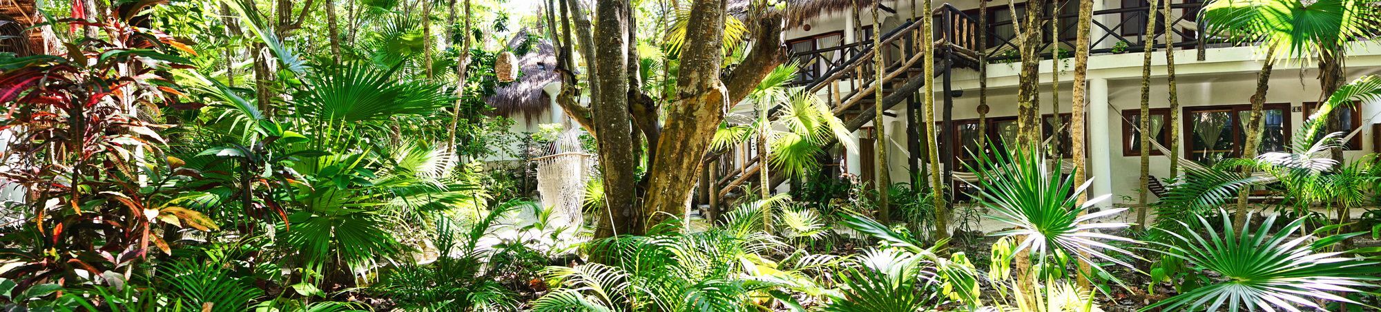 Ecologico Dos Ceibas
