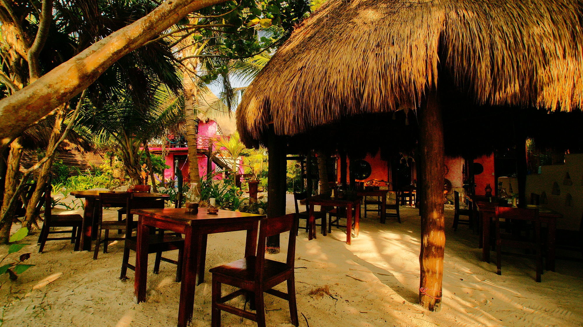 Ecologico Dos Ceibas Hotel