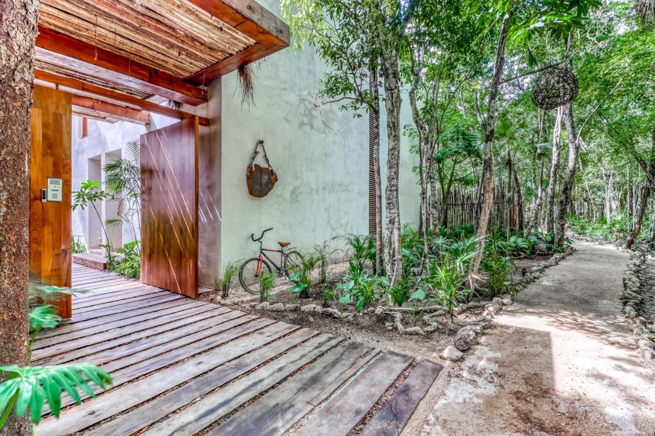 Bajo Cielo At Luum Zama Tulum