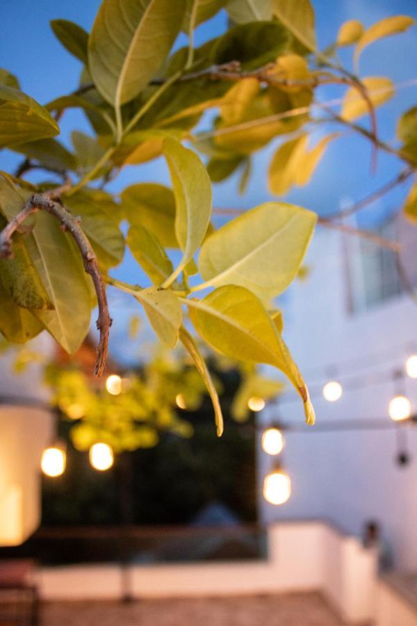 Hotel Banana Tulum