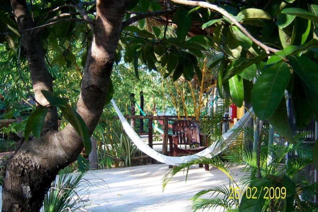 Casa Don Diego 3*