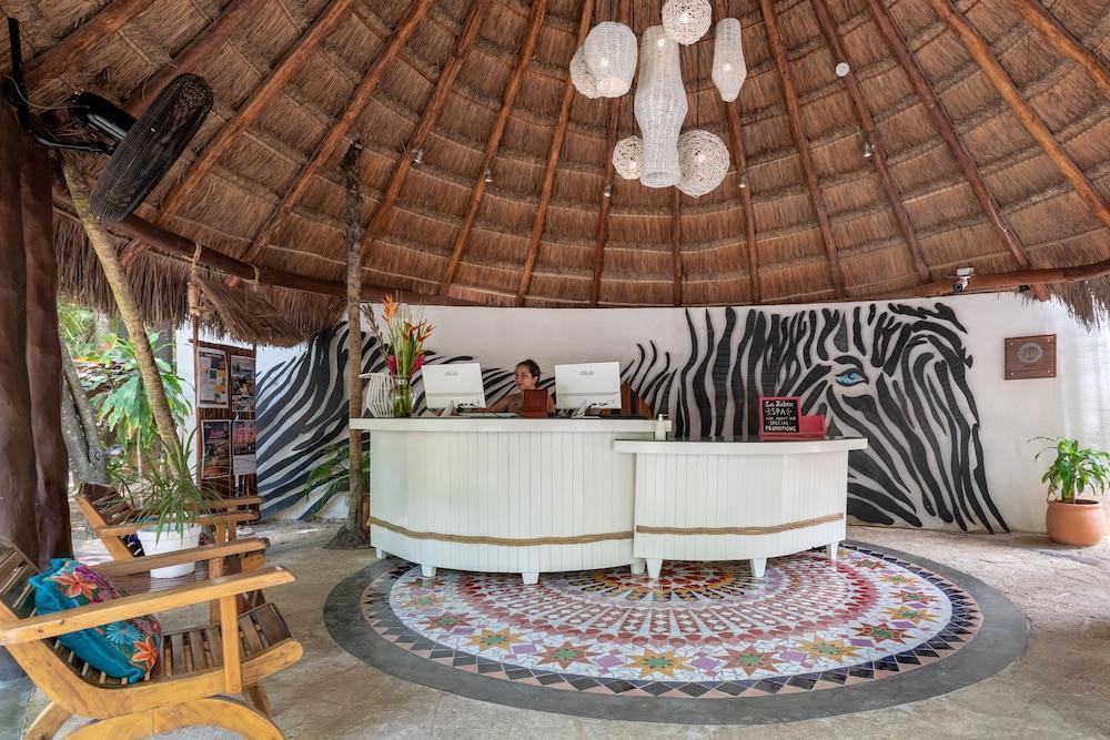 La Zebra Colibri Boutique Tulum