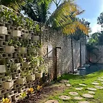 Bau Tulum