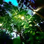 Kck Tulum Rooms