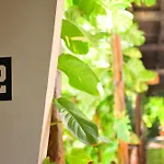 Casa Teka