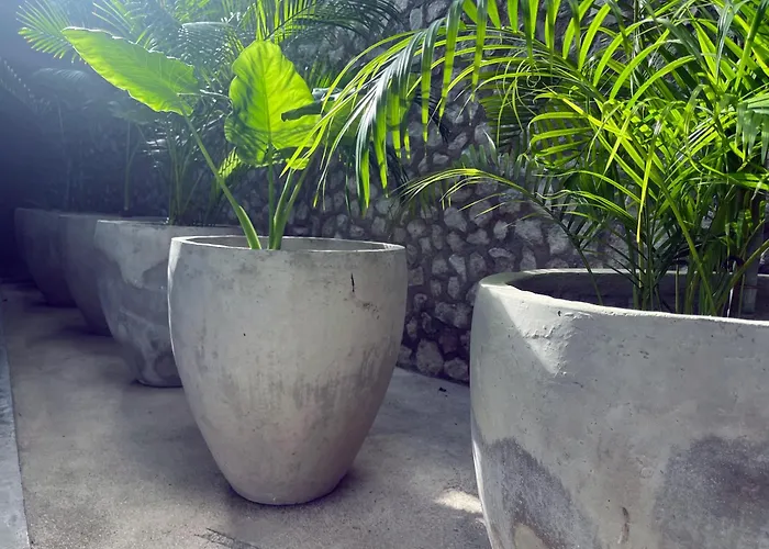 Bau Tulum