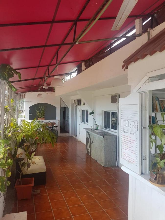 Bed and breakfast Lobo Tulum