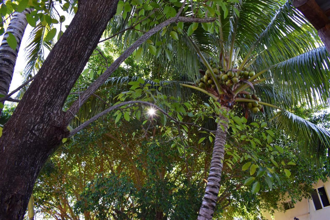 Lobo Bed and breakfast Tulum