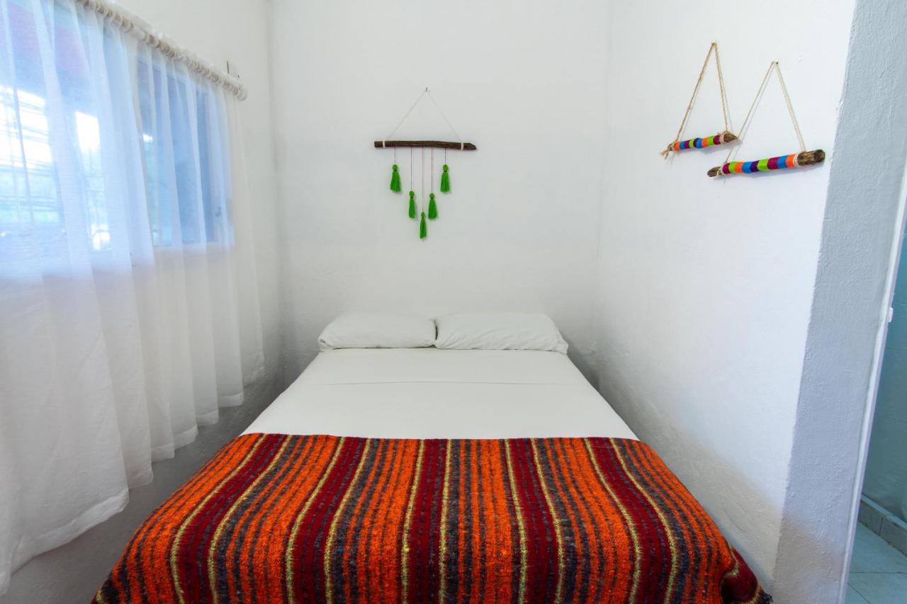 Lobo Tulum