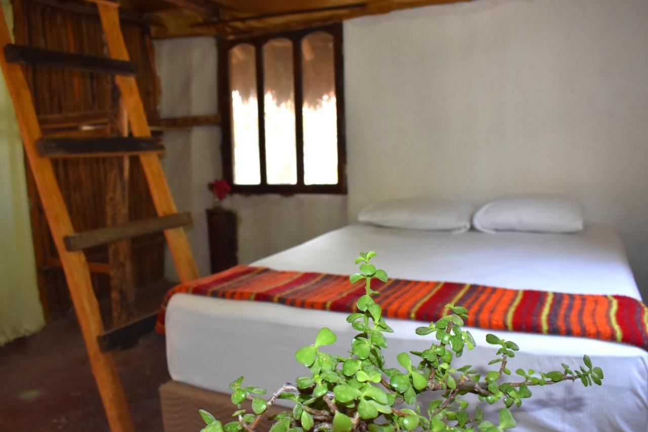 Lobo Bed and breakfast