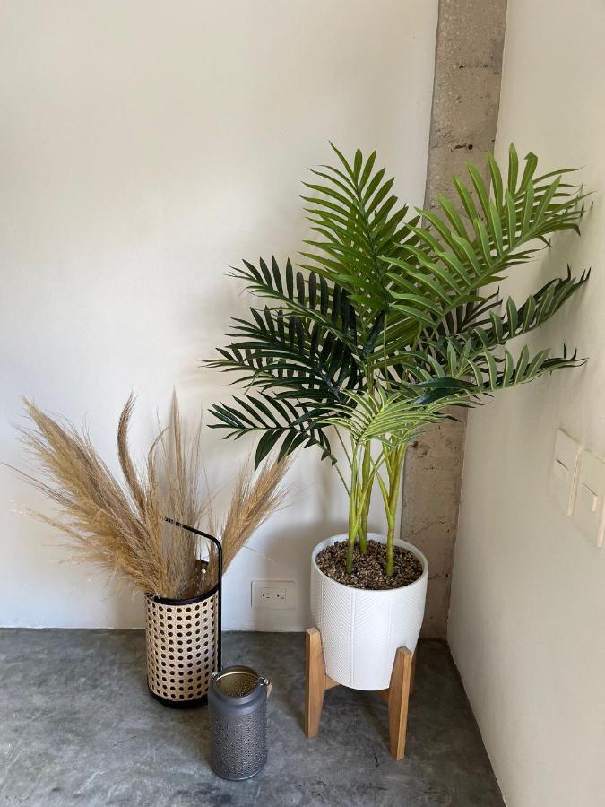 Katalox Jungle Lofts By Simply Comfort Centre Rooftop Patio & Pool Apartamento