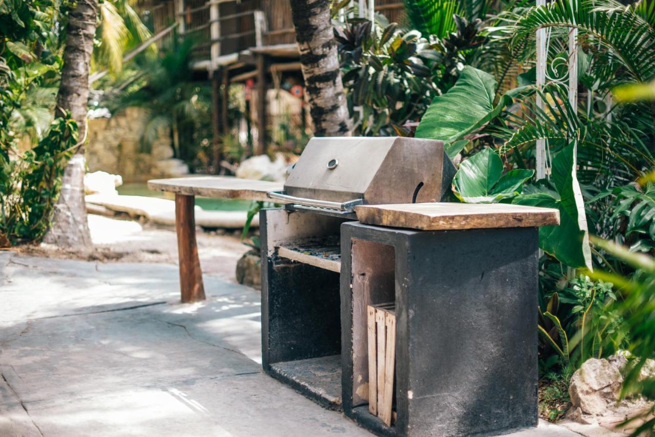 Lobo Tulum