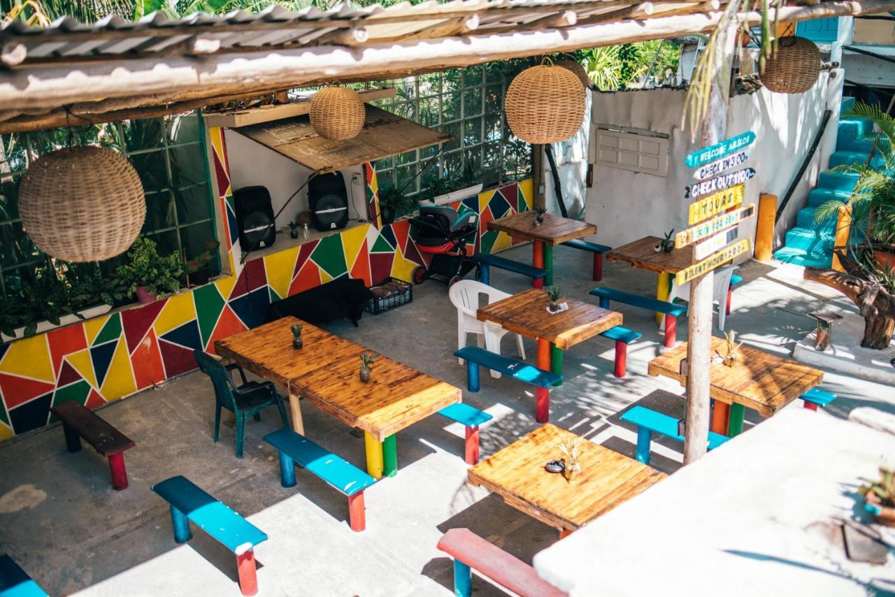 Lobo Tulum