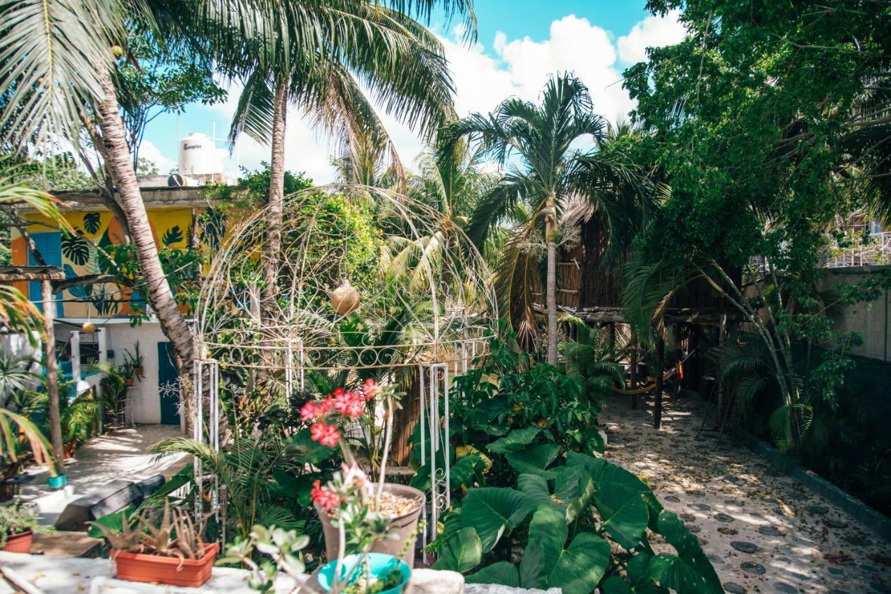 Lobo Bed and breakfast 2*