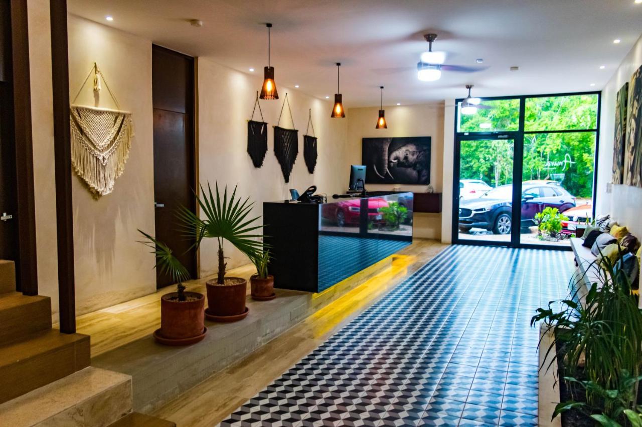 Amira Apartahotel 3*