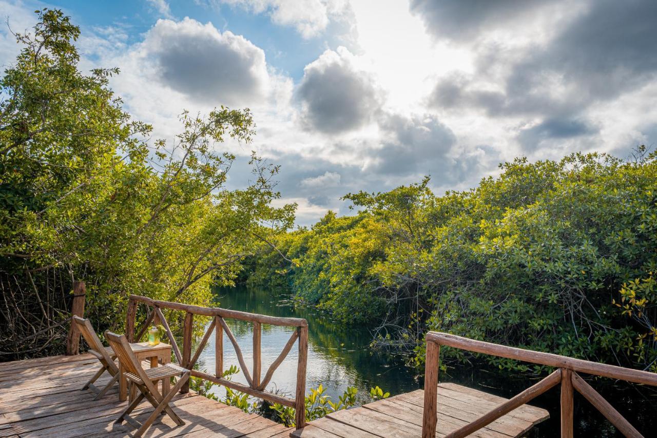 Hotel Manglex Eco