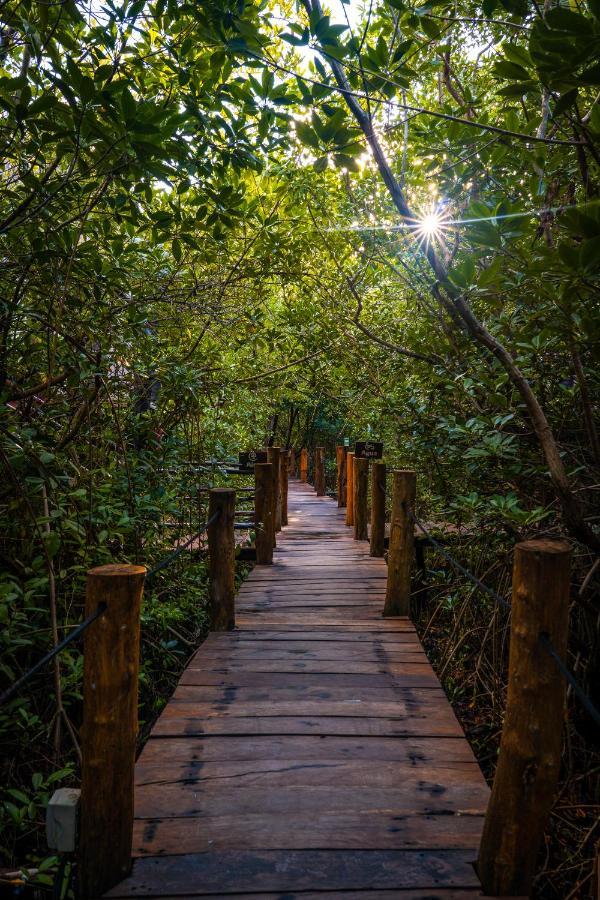Manglex Eco 3* Tulum