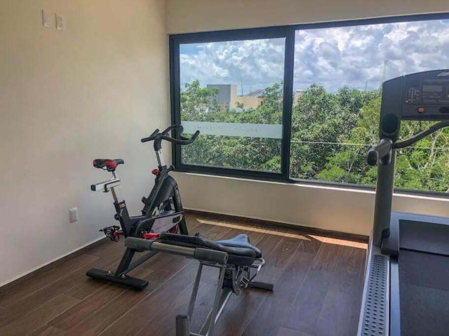Loft Increíble King Size Alberca Infinita,gym En Medio De La Selva