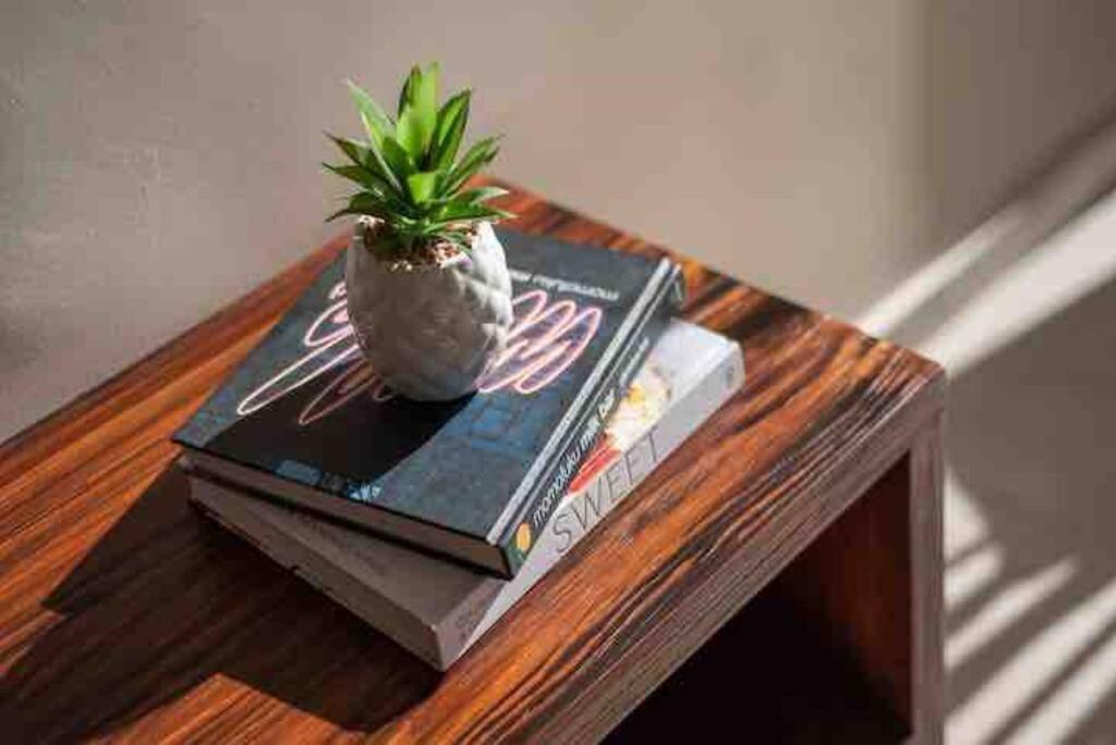 Lujoso Departamento Con Jacuzzi Privado Apartamento