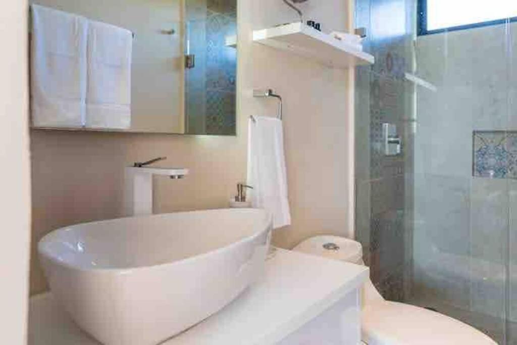 Lujoso Departamento Con Jacuzzi Privado *