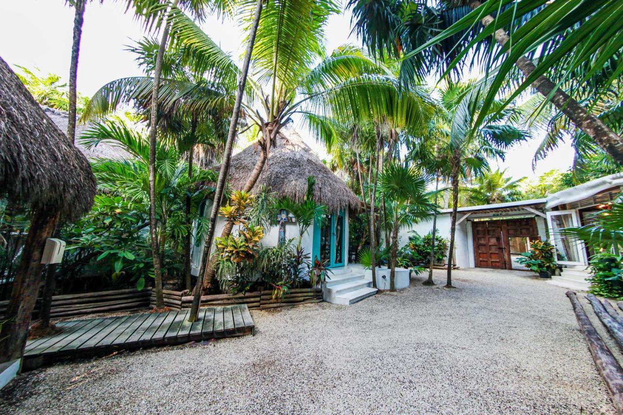 Cormoran & Cenote 3*