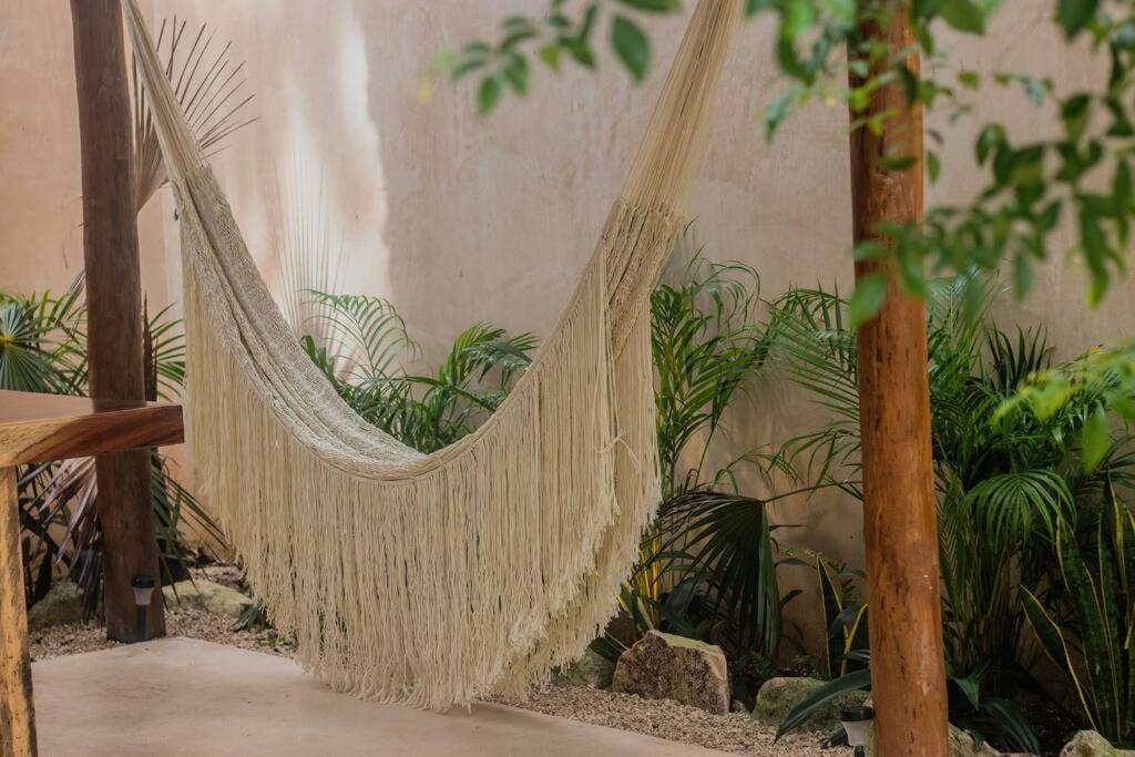 Casa Xhara, Cozy Jungle 3 Bedroom Pool And Grill Villa