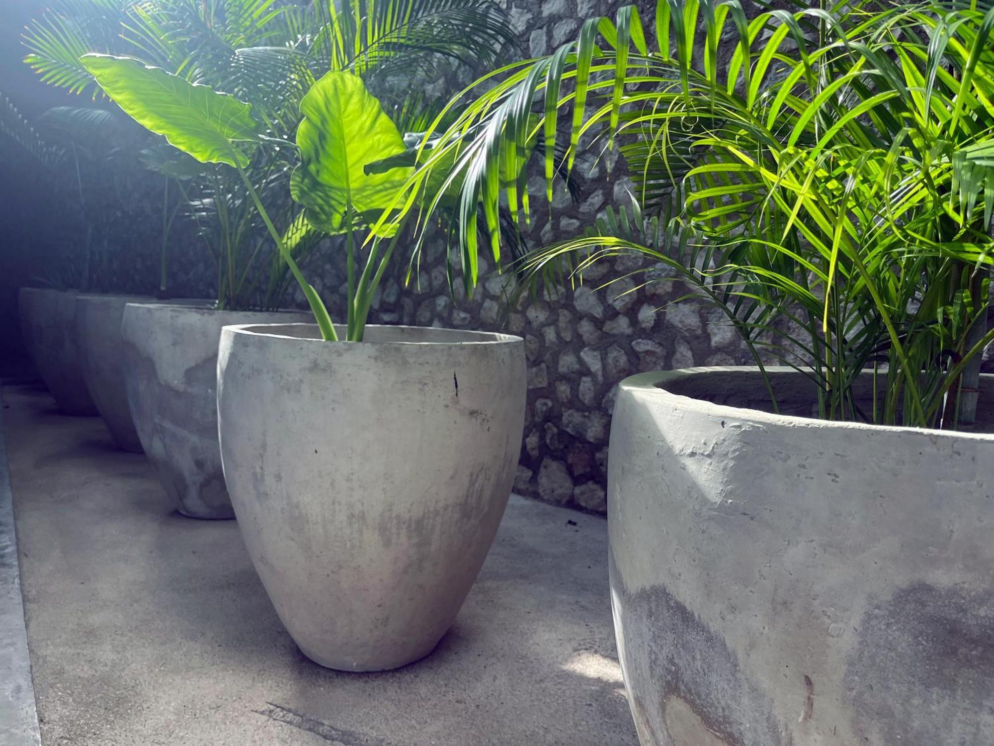 Hotel Bau Tulum