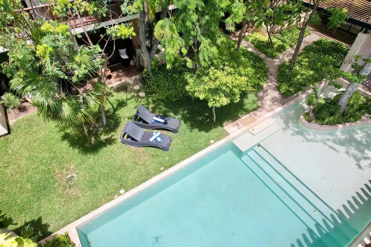 Loft Increíble King Size Alberca Infinita,gym En Medio De La Selva Сasa de vacaciones