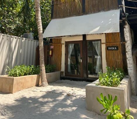 Hotel Alquimia Boutique
