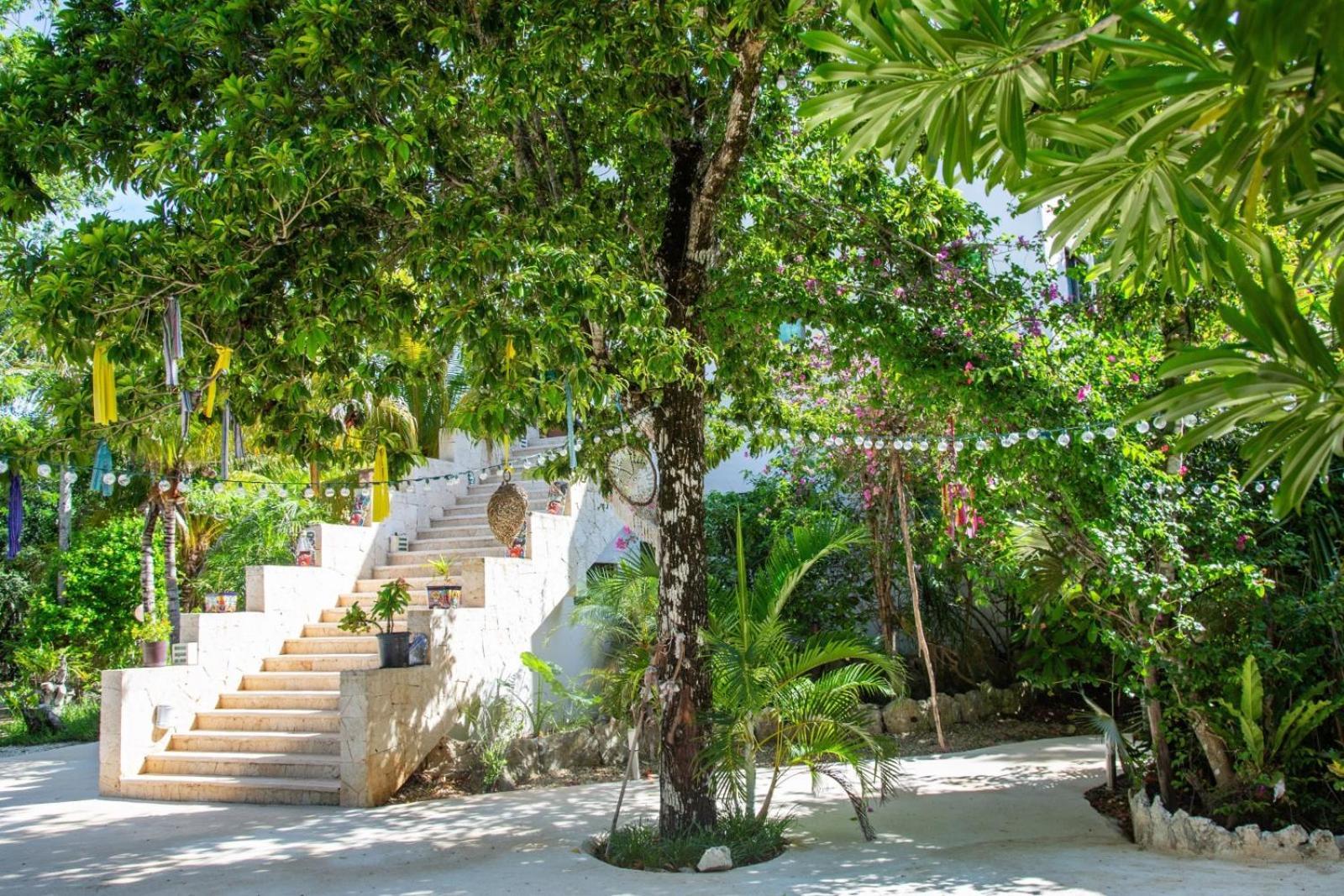 Bed and breakfast Agua Y Fuego