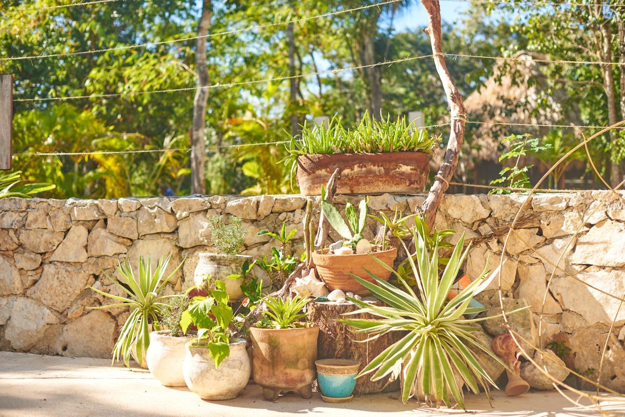 Agua Y Fuego Tulum