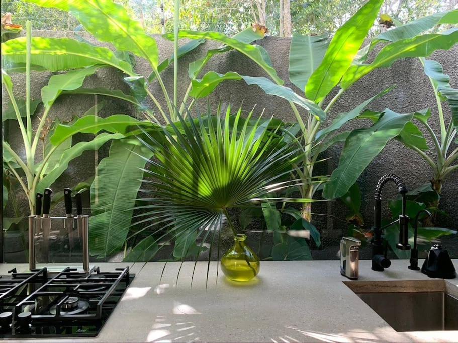 Kaan In Holistika, - Private Pool, Garden & Rooftop Villa Tulum