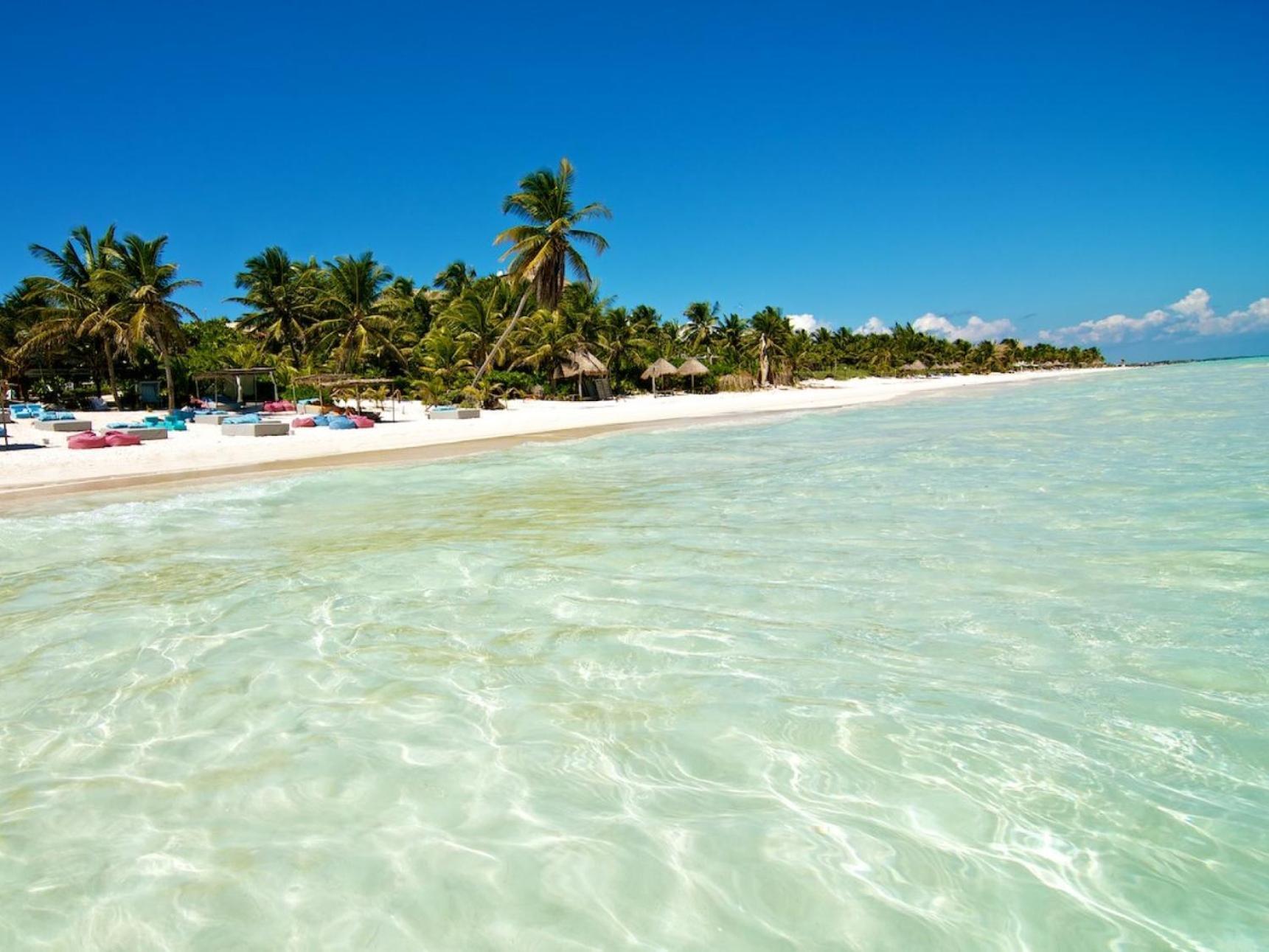 Aflora - Managed By Elite Alliance * Tulum