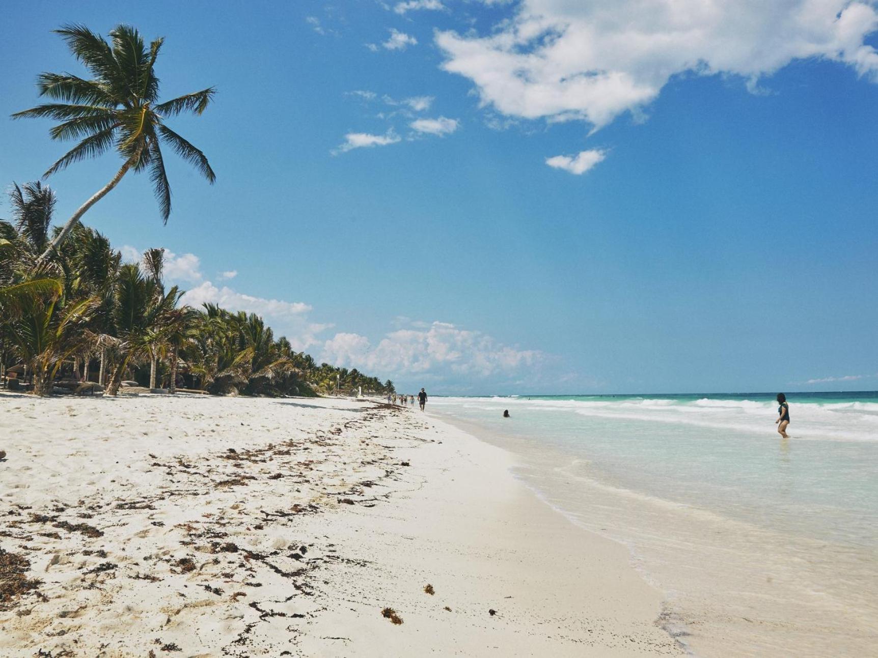 Hotel Aflora - Managed By Elite Alliance Tulum