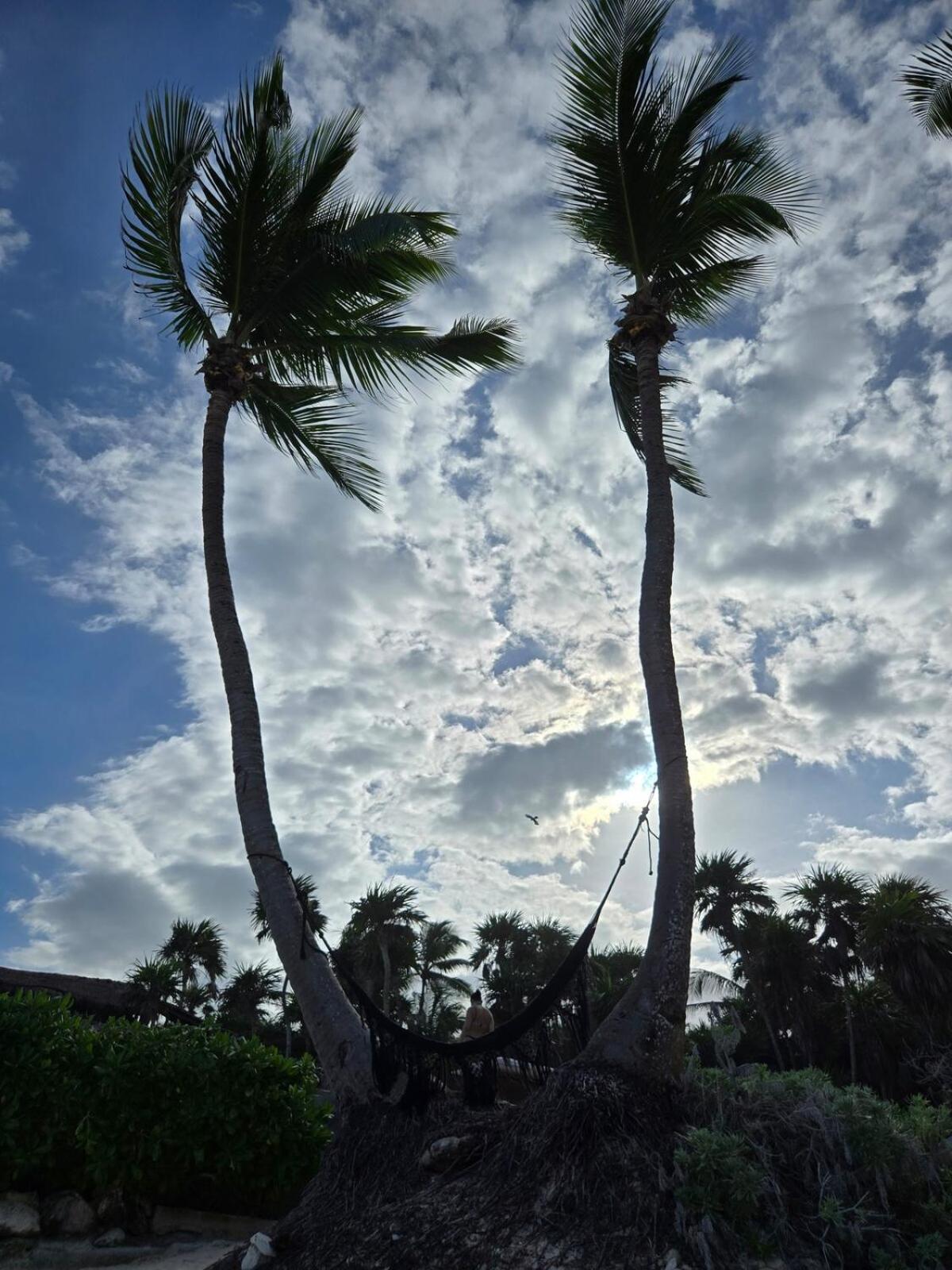 Hideaway In Zone * Tulum