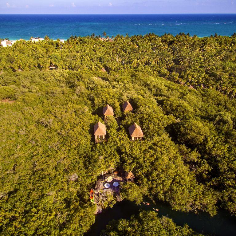 Manglex Eco Tulum