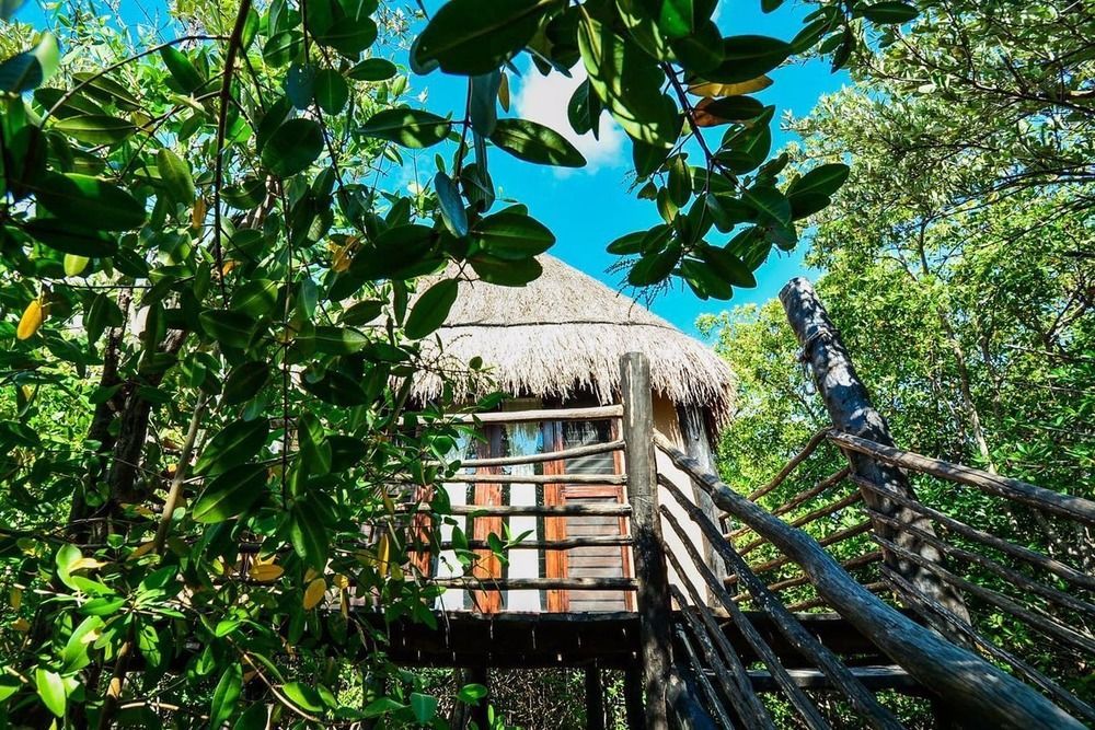 Manglex Eco Hotel