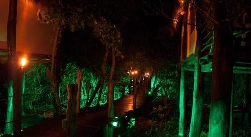 Manglex Eco Hotel Tulum