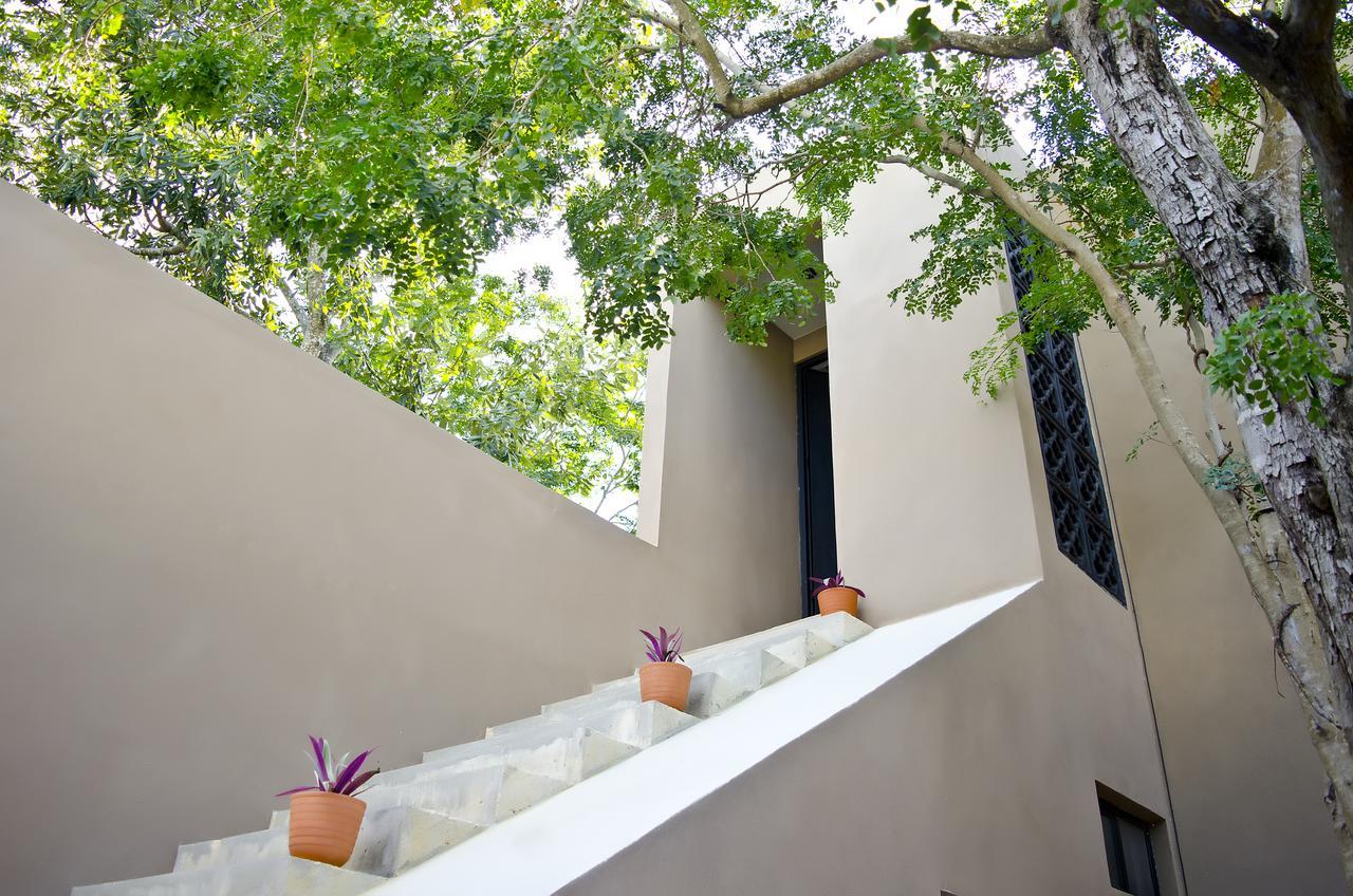 Kinka * Tulum