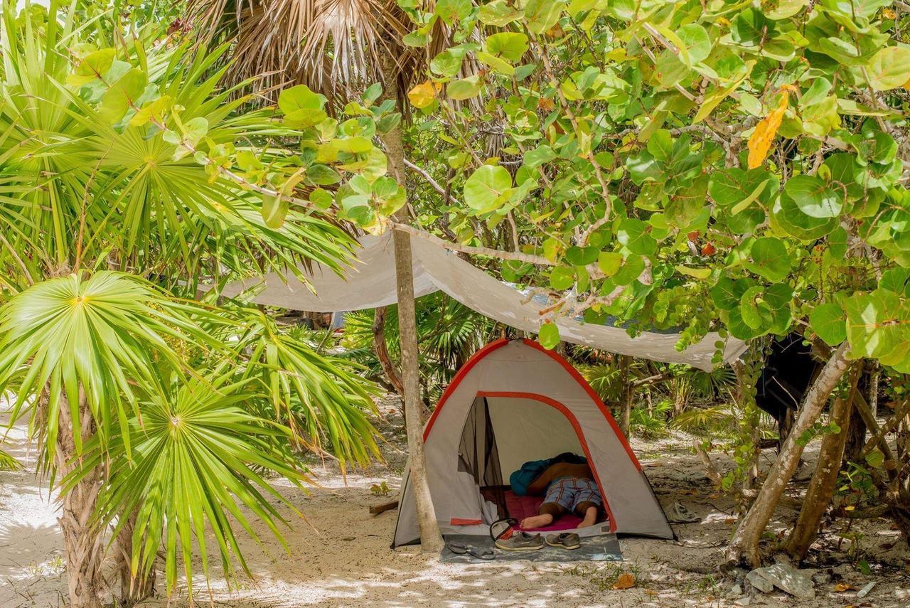 Campo de lujo Camping Revolucion Pancho *